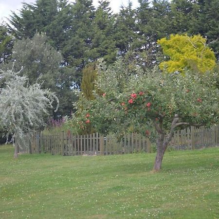 The Willow Studio - Peaceful Retreat Near Whitstable Seaside Faversham Εξωτερικό φωτογραφία