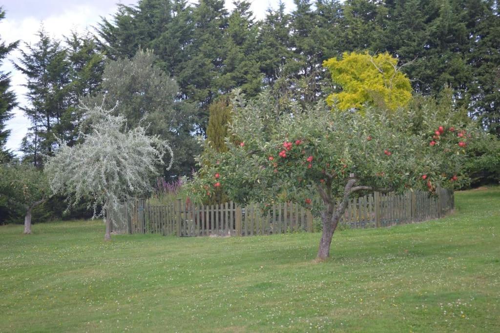 The Willow Studio - Peaceful Retreat Near Whitstable Seaside Faversham Εξωτερικό φωτογραφία
