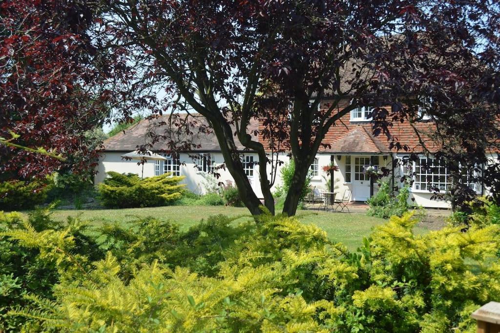 The Willow Studio - Peaceful Retreat Near Whitstable Seaside Faversham Εξωτερικό φωτογραφία